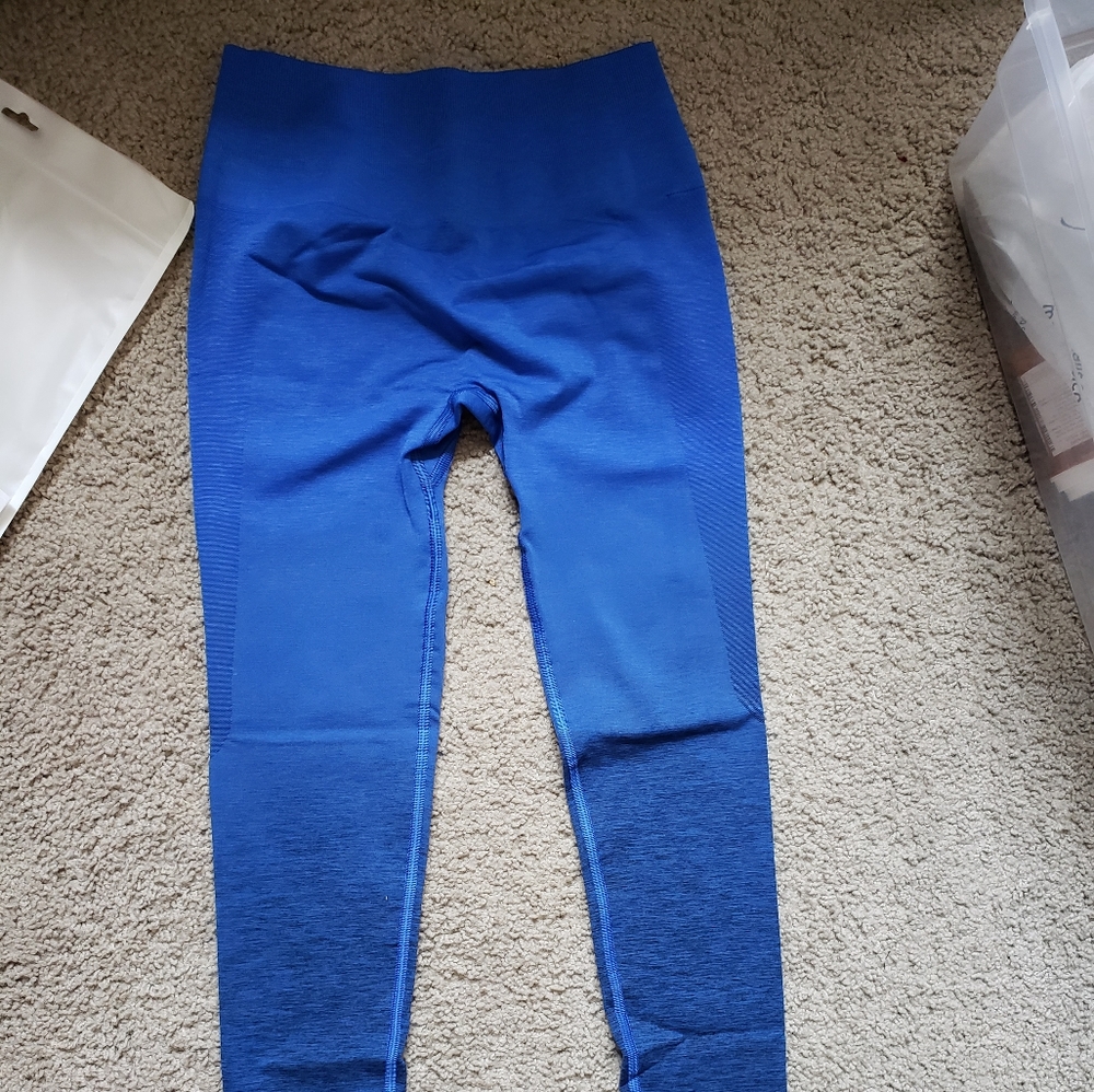 Alphalete Amplify Ombre leggings